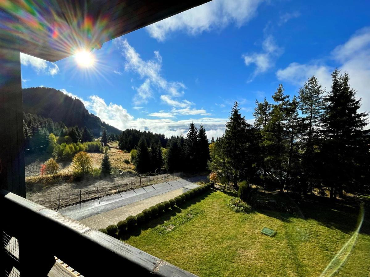Apartment Skyday Penthouse Deluxe At Oak Smoljan